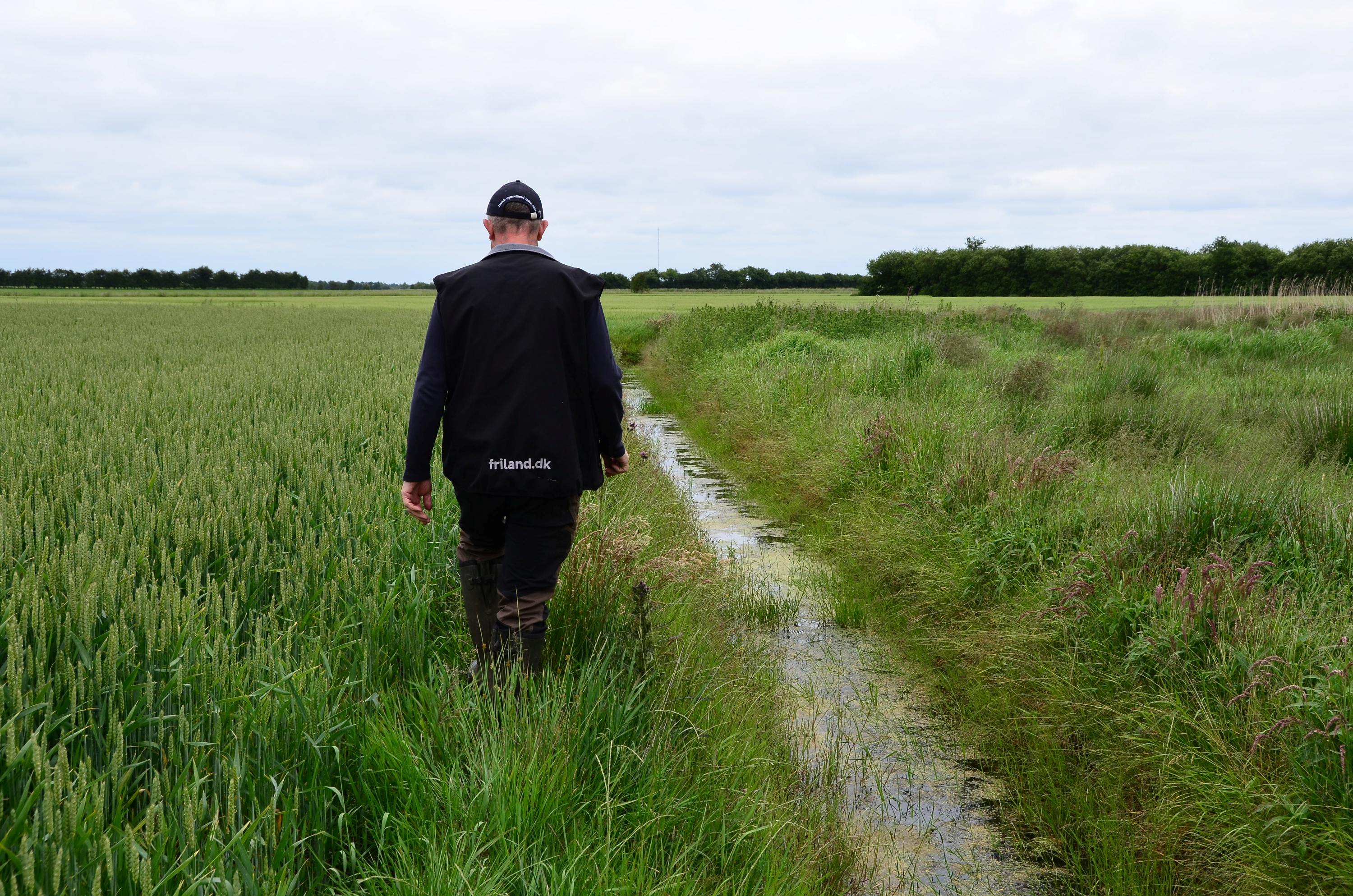 Afvandingskanal hos Jan Olesen - Friland Naturfokus