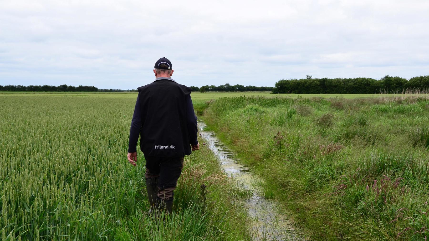 Afvandingskanal hos Jan Olesen - Friland Naturfokus