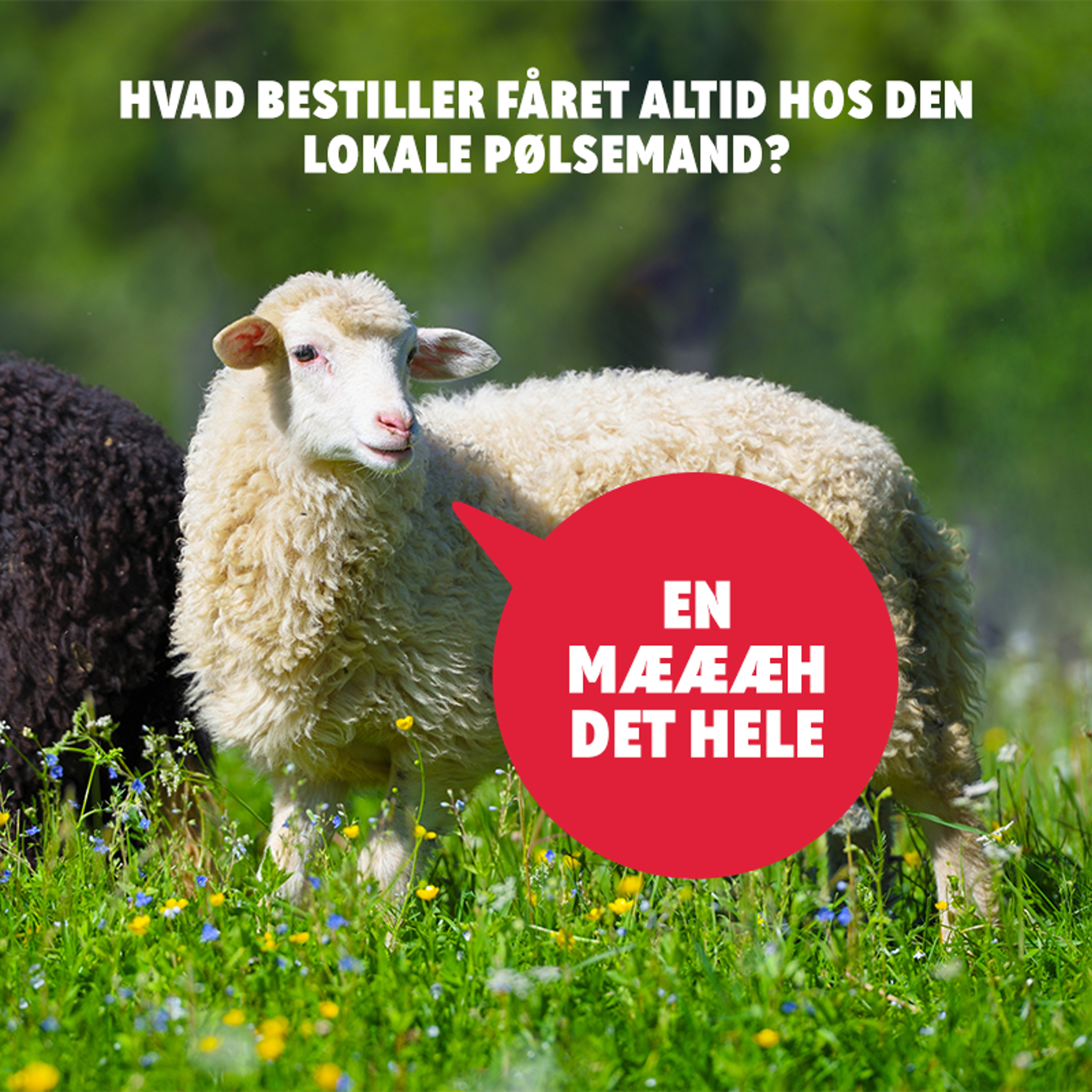 Far-joke: En mæh det hele