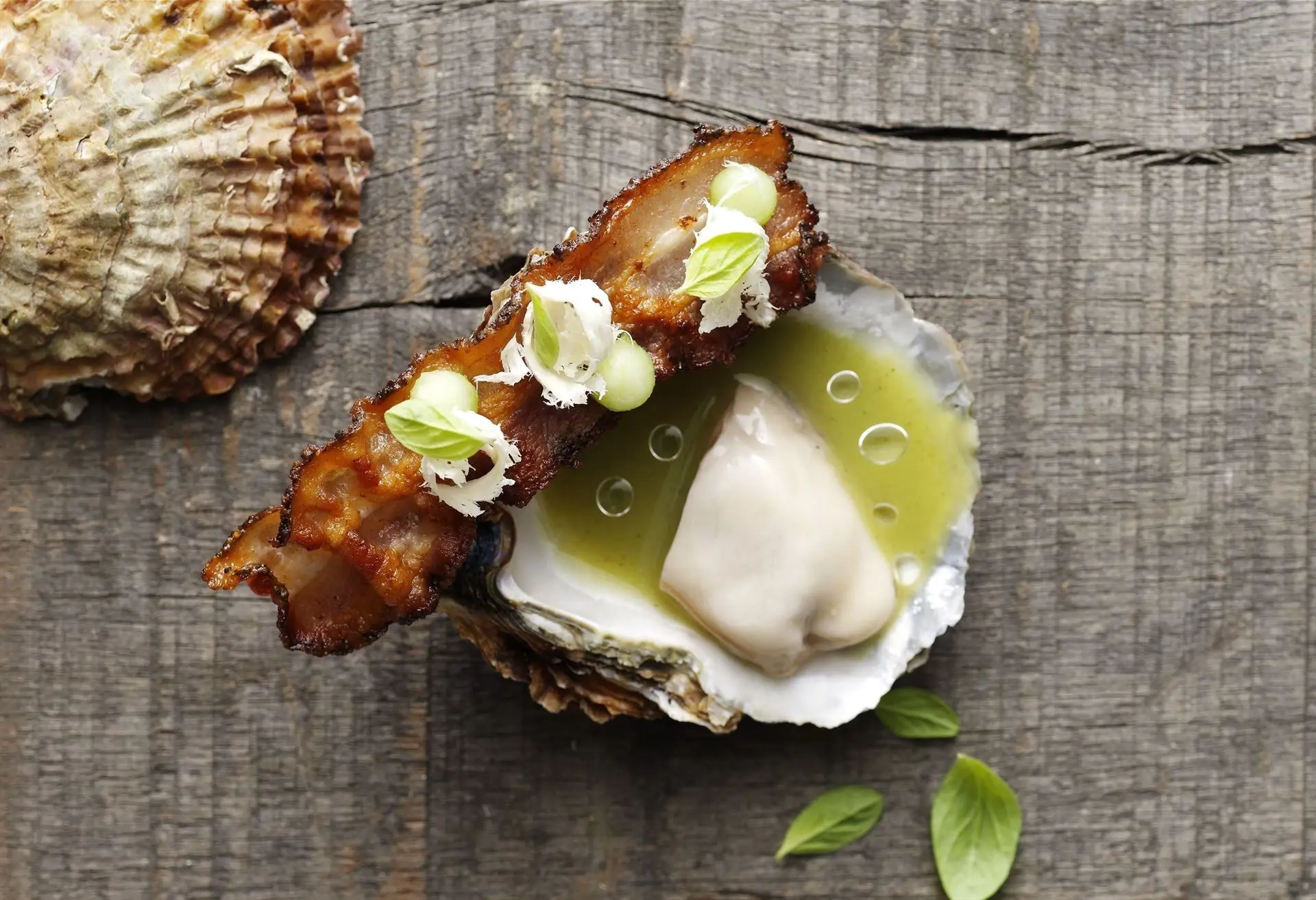Austern natur mit Grillgurkensauce und knusprigem Bacon