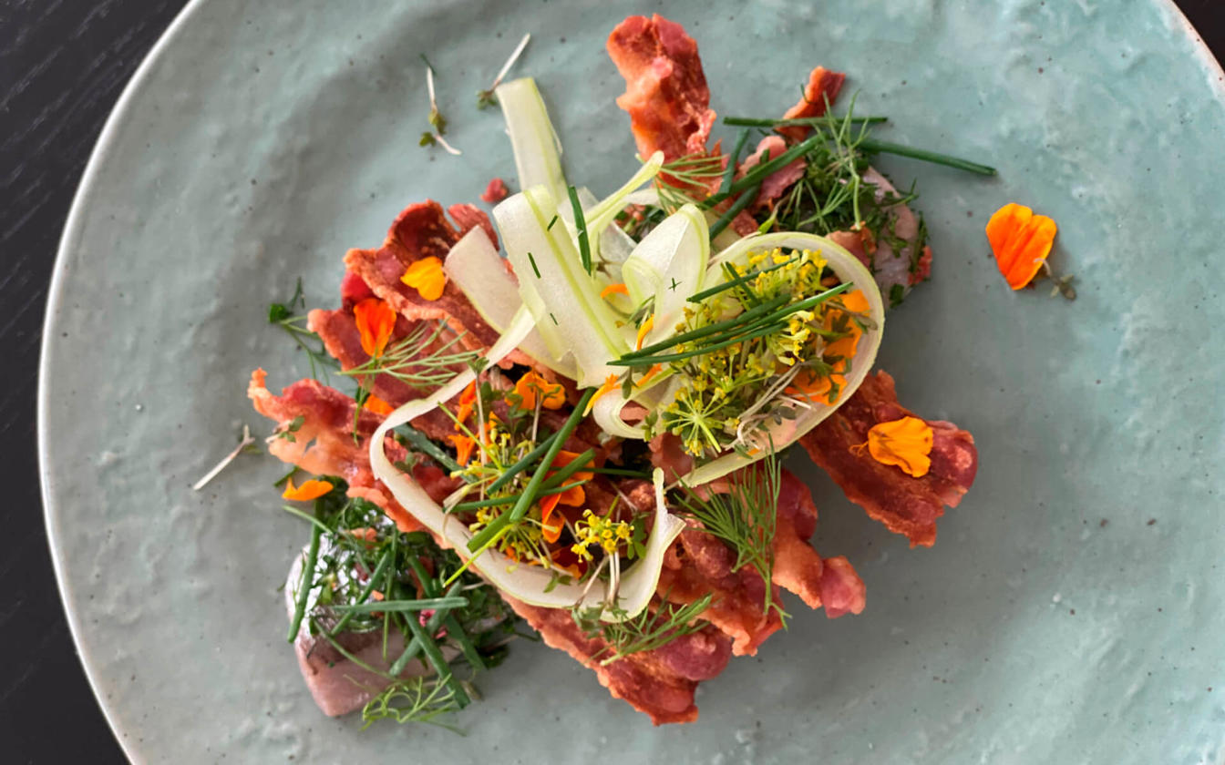 Bacon-sild med urter