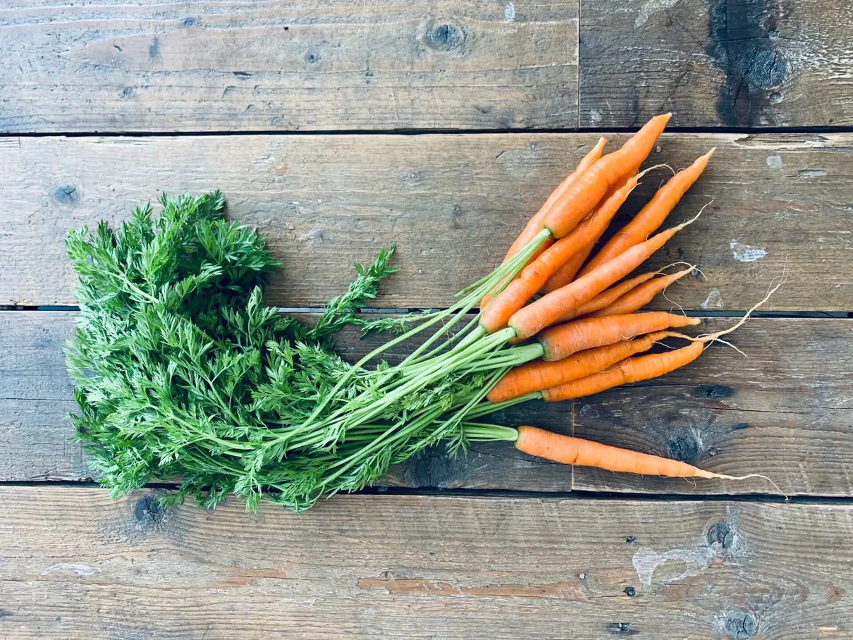 Rå gulerødder