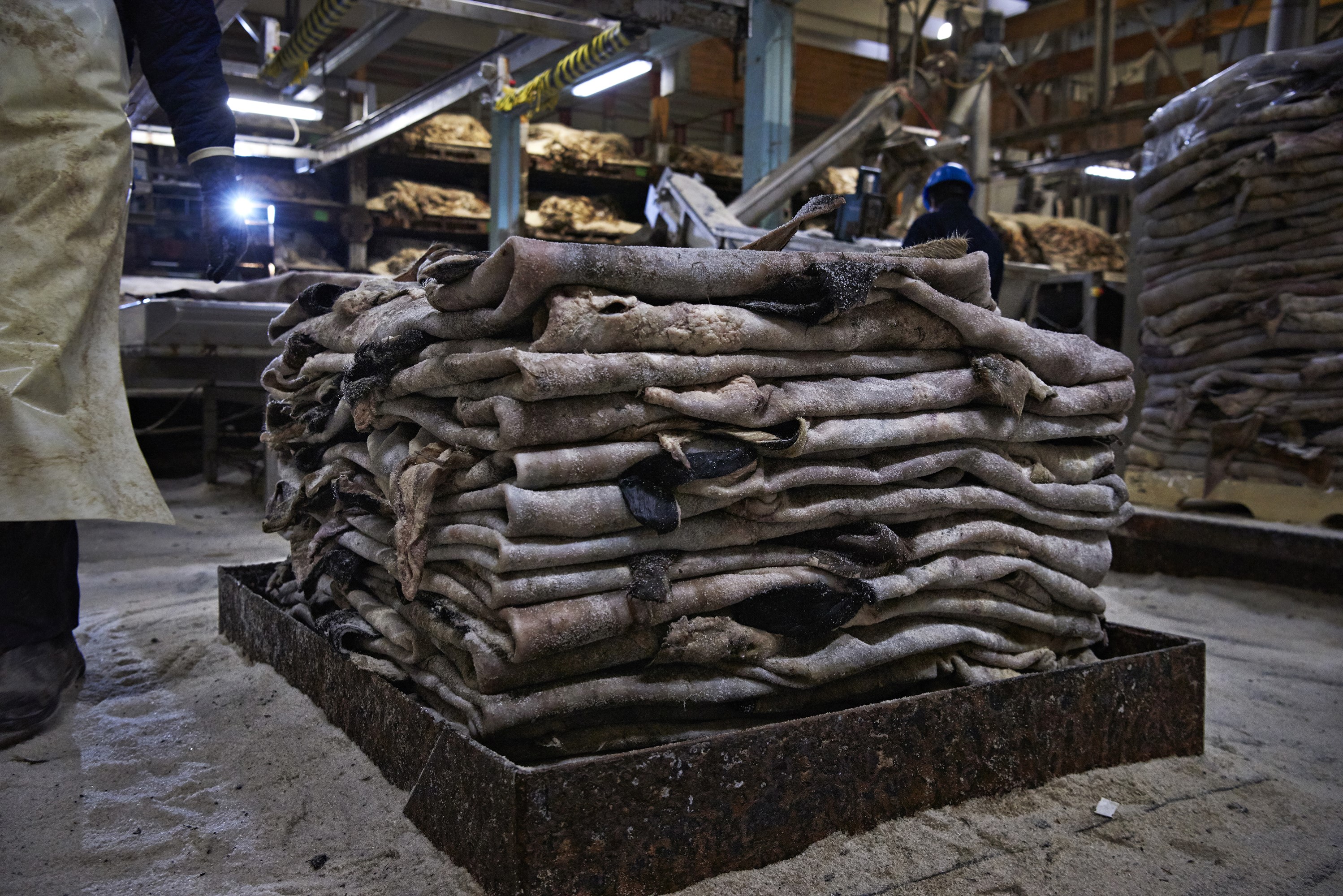 The biproducts of our production are upcycled as key ingredients in other industries,