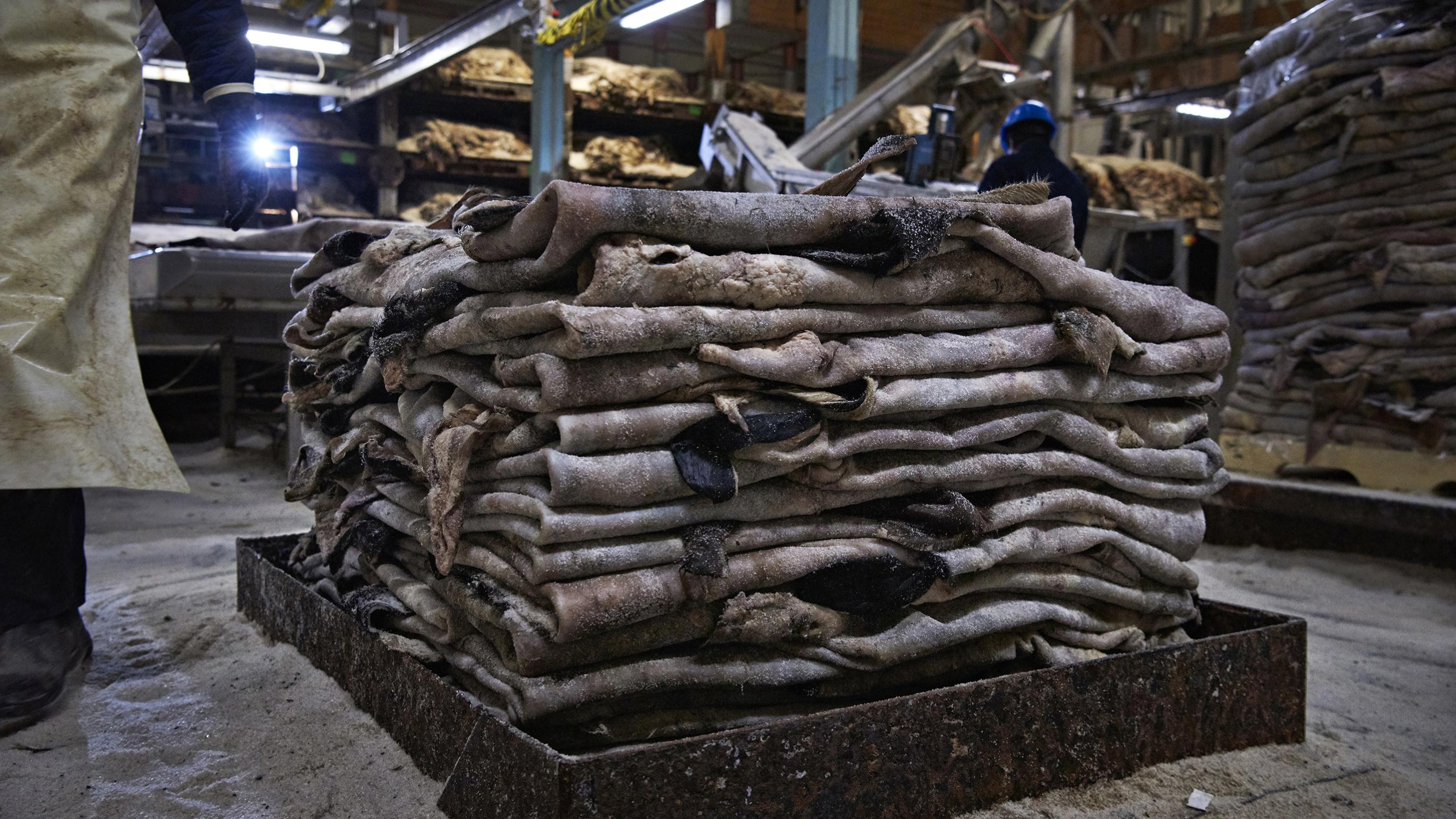 The biproducts of our production are upcycled as key ingredients in other industries,