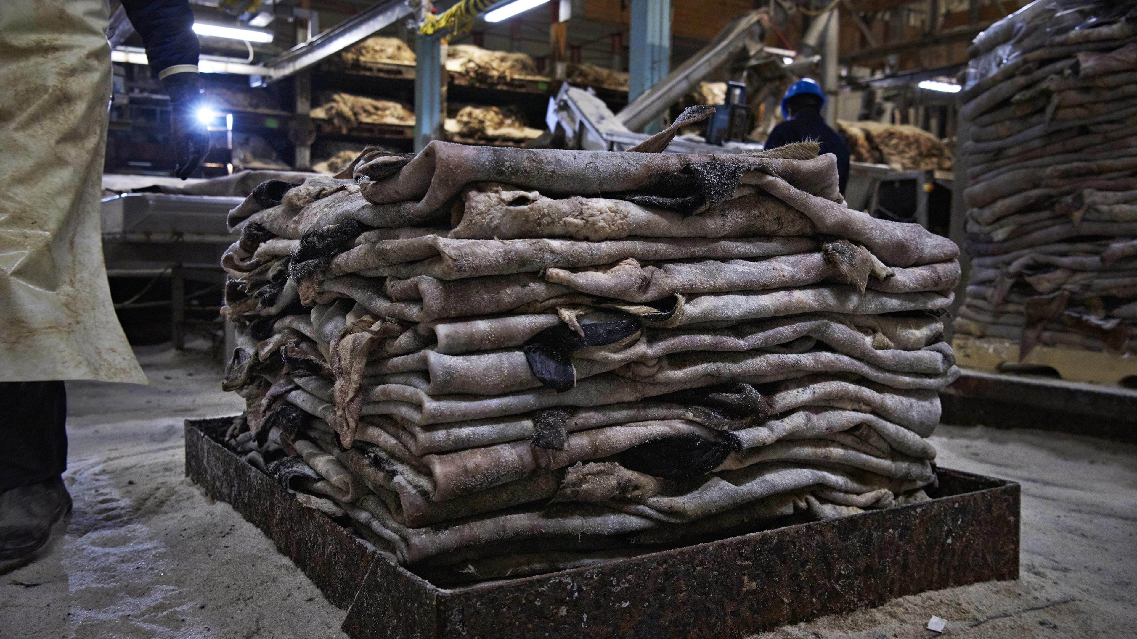 The biproducts of our production are upcycled as key ingredients in other industries,