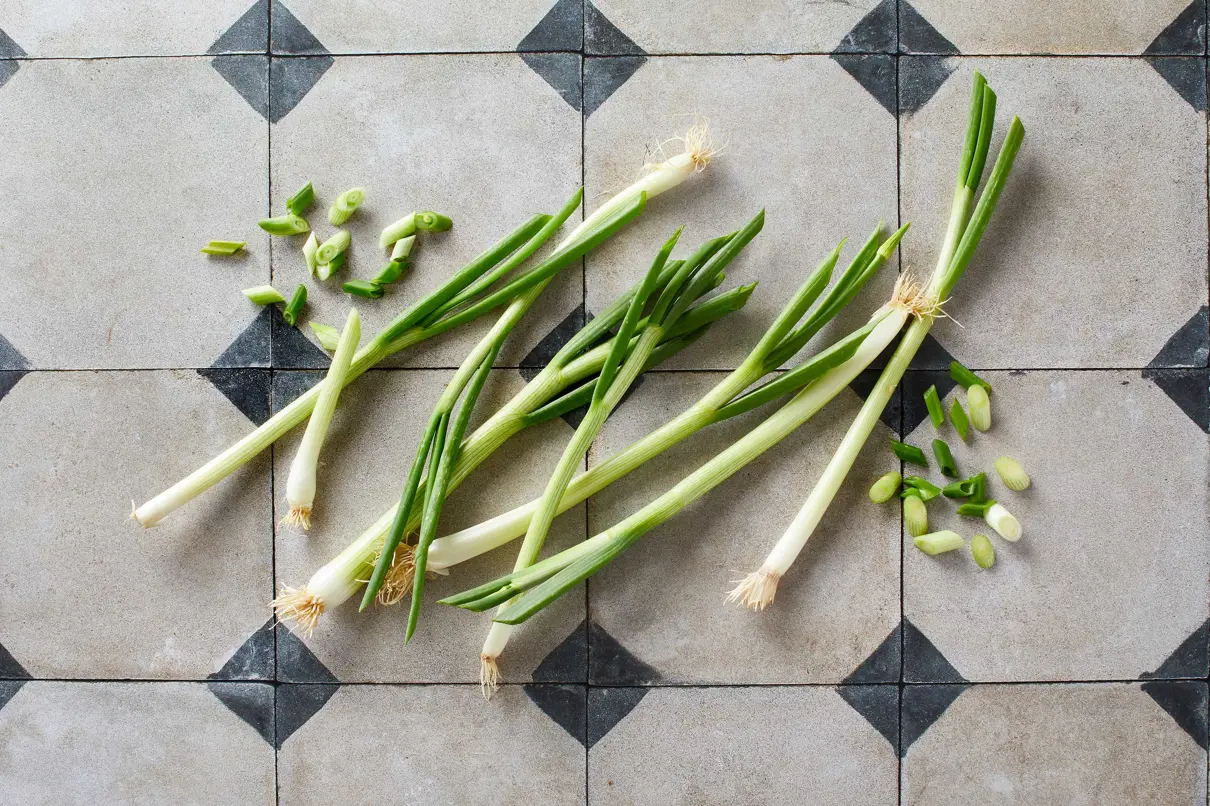 Forårsløg